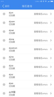 點(diǎn)擊網(wǎng)絡(luò) 解析互聯(lián)網(wǎng)域名注冊服務(wù)的價(jià)值與未來
