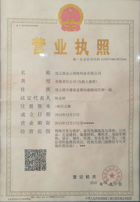 連云港金云網(wǎng)絡(luò)科技 聚焦互聯(lián)網(wǎng)域名注冊服務(wù)的專業(yè)先鋒